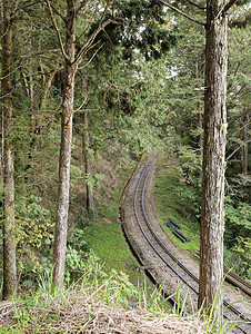 森林铁路风景运输踪迹旅行场景金属过境小路交通路线图片