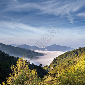 山地风景环境森林天空荒野农村国家树木戏剧性场景蓝色图片