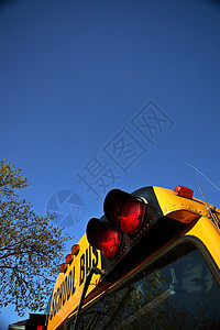 车停在萨斯喀彻温Crane山谷的校车橙子旅行风景农村城市公共汽车大草原国家黑色运输图片