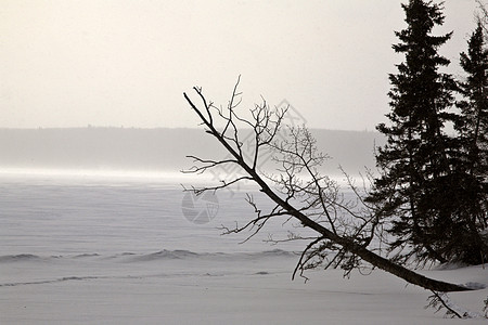 在冰冻的瓦克苏伊湖上吹雪图片