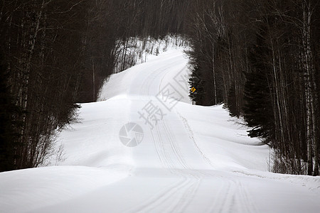 冬季的雪覆盖道路风景场景水平照片白杨树旅行图片