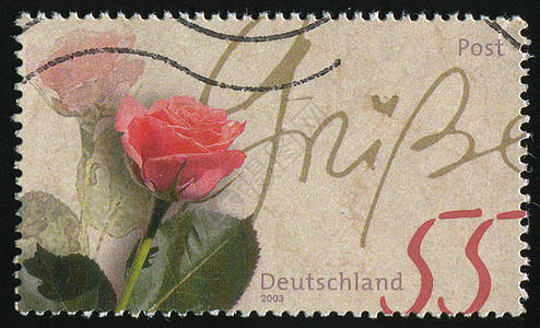 邮票玫瑰庆典信封邮件花瓣集邮叶子礼物邮戳卡片图片