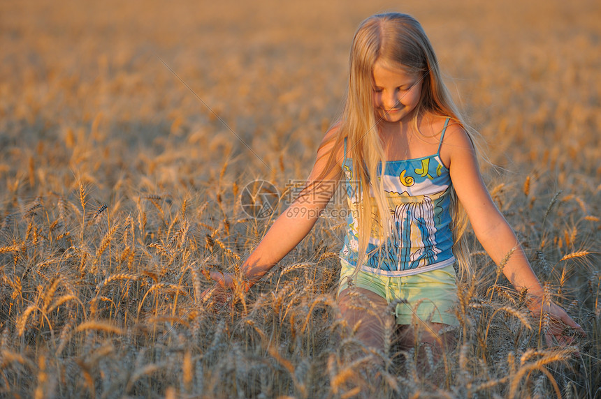 那个小麦店里的女孩收成青年女孩们植物草地喜悦阳光孩子土地幸福图片