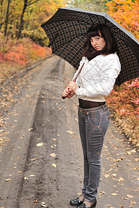 那个穿着雨伞的秋天木头的女孩安全死亡女孩们场景车道围巾小路森林孤独女士图片