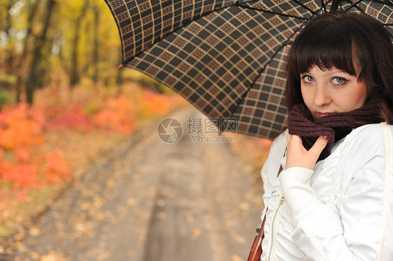 那个穿着雨伞的秋天木头的女孩女士死亡大街场景围巾小路孤独女性女孩们安全图片