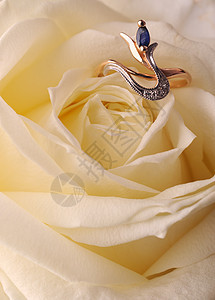 环在白玫瑰中玫瑰美丽钻石植物礼物金子庆典派对蓝宝石珠宝图片