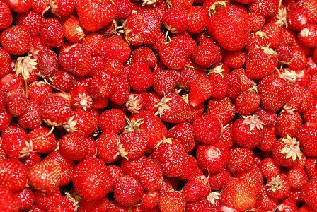 草莓背景植物甜点蔬菜食物红色活力水果农业养分健康图片