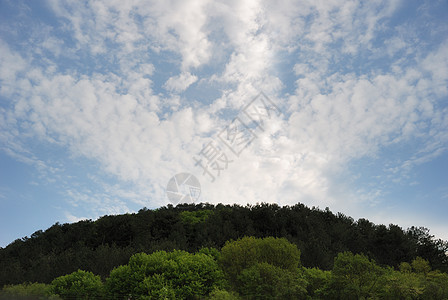 森林和天空场景地平线季节太阳阳光全景场地爬坡公园孤独图片