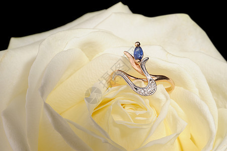 环在白玫瑰中美丽钻石礼物宝石新娘金子花瓣叶子金属庆典图片