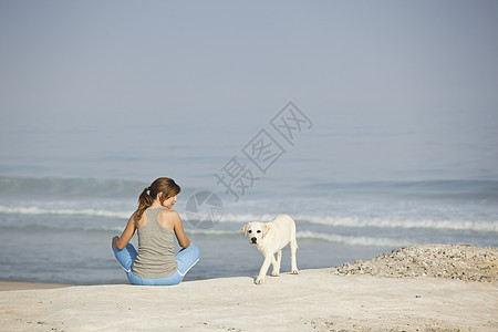 女孩带着她的狗自由小狗猎犬宠物闲暇海滩海岸动物海洋假期图片