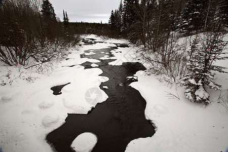 冬天的胡迪河场景照片水平风景森林旅行荒野图片
