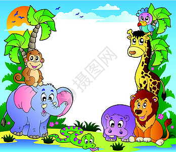 热带动物框架 2图片