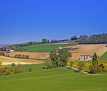 横向景观天空草地土地旅行森林农村场景蓝色国家农场图片