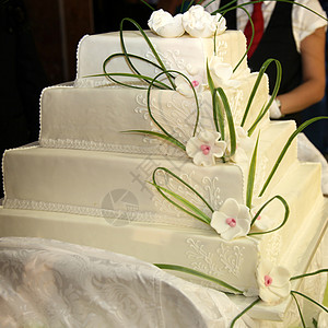 大型结婚蛋糕或生日蛋糕     英语风格图片