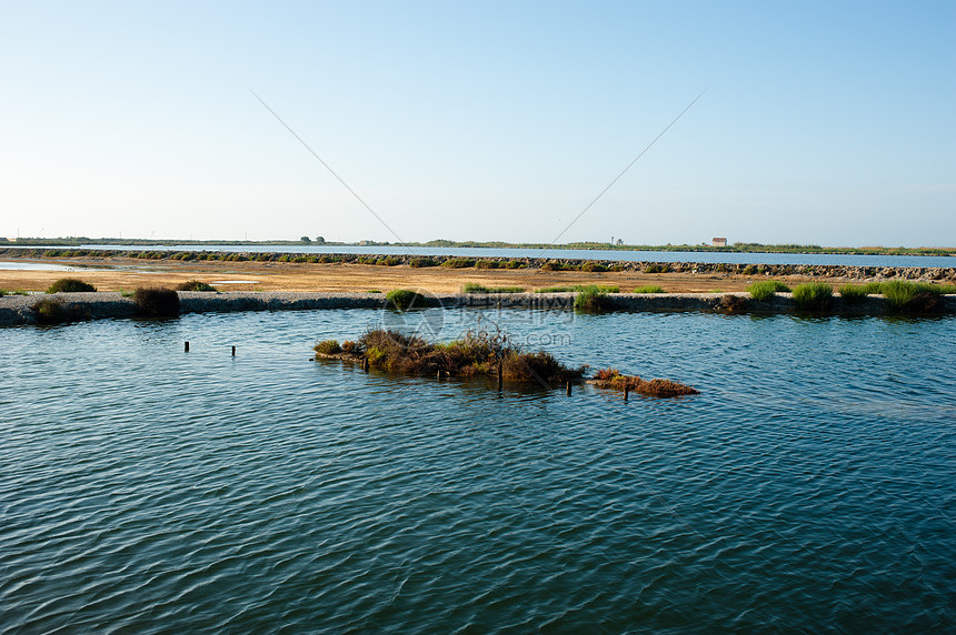 盐沼地圣波沼泽盐场反射温暖水平河口晴天风景阳光图片