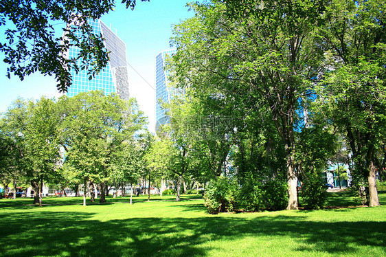 里吉纳市中心的维多利亚公园池塘风景鸭子城市草地都市场景风光绿色娱乐图片