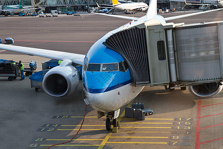 飞机尾巴飞行员空气飞机场跑道工艺运输翅膀客机座舱图片