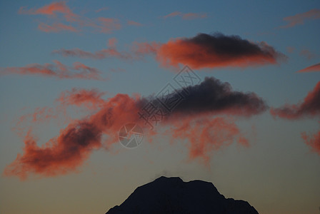 Vakre 空天机天空蔷薇背景图片