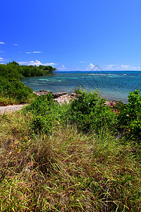 Guanica保留地波多黎各森林天空天堂生态旅游假期巨石栖息地植被岩石晴天图片