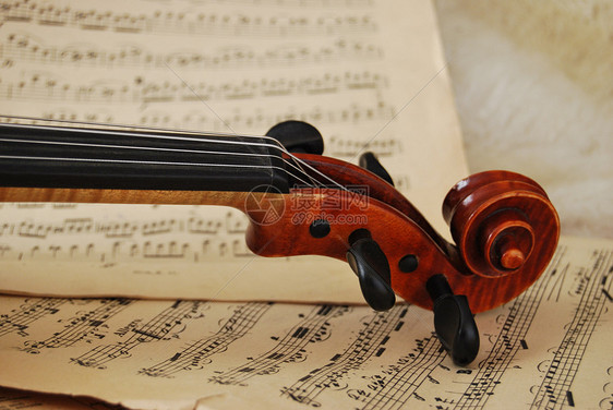 维洛林语和注音乐笔记琴颈古典音乐乡愁小提琴乐队图片