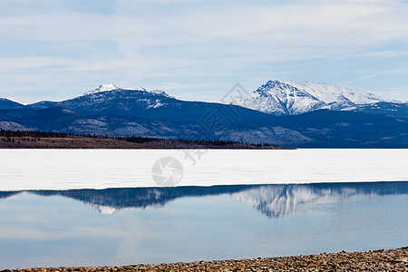 加拿大育空Laberge湖的白雪山脉图片