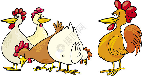 龙和母鸡插图羽毛鸡冠太阳动物绘画艺术卡通片尾巴漫画图片