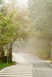 路上的迷雾踪迹曲线森林条纹场景国家穿越风景薄雾小路图片