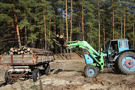 森林中树木的加载日数森林林业货物活力工业木头燃料松树资源机器图片