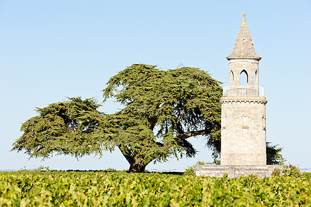 法国波尔多州博尔多地区 By世界农业建筑栽培外观位置葡萄园建筑学旅行城堡图片