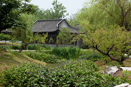 丝状西湖自然界花园烟熏旅游业公园图片