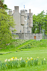 布赖马尔城堡 苏格兰花坛旅行地标景点水仙花植被历史历史性植物群植物图片