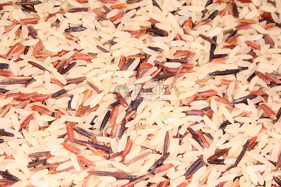 彩色大米香米进口食物袋装密封芳香野米饭菜水稻栽培图片