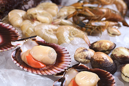 和冰上其他海产食品水平食物鱼子海鲜贝壳照片美味贝类海洋美食图片