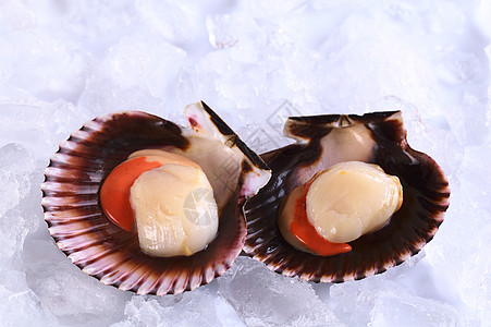 Raw Queen 冰上的扇贝鱼子照片食物水平美食海洋贝类贝壳宏观美味图片