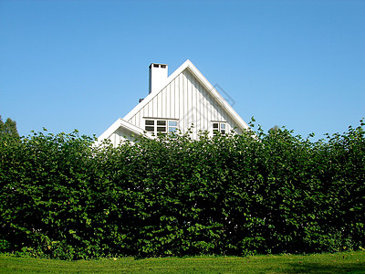 斯堪的纳维亚生活方式 - 在灌木屏障后面的白房子图片