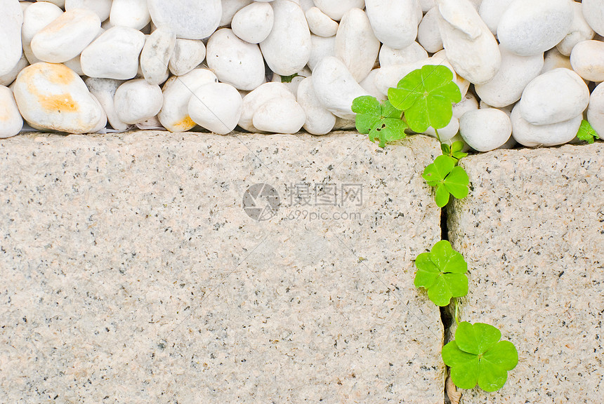 白卵石和新生儿在爬动的叶叶冥想公园叶子岩石植物平衡石头精神花园宏观图片