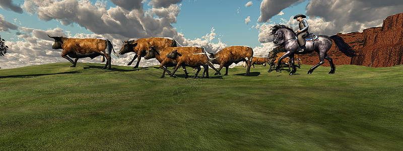 牛群集牛车牛仔奶牛荒野骑手骑术男人艺术动物勇气图片