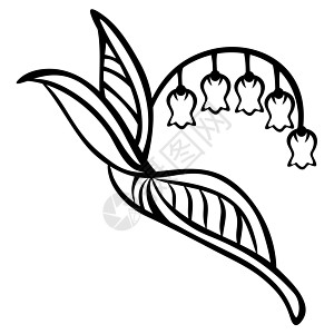 山谷的莉莉花朵艺术插图剪贴画植物荒野钟声曲线图片