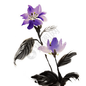 中华传统绘画植物群衬套刷子手工文化植物书法墨水黑色艺术品图片