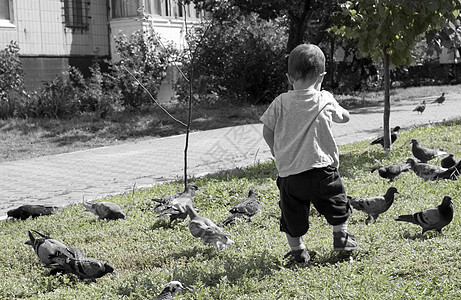 孤独的孩子公园自由地娱乐休闲郊游鸽子家庭孩子们寂寞儿童图片