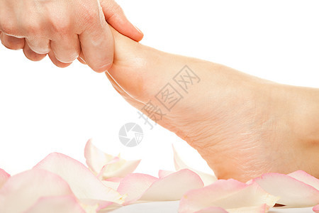 脚按摩女士花瓣皮肤白色高跟鞋女性玫瑰护理娱乐足疗图片
