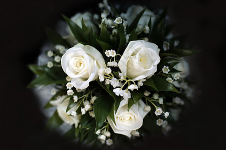 婚礼花束新娘玫瑰女性女士已婚裙子传统婚姻家庭白色背景图片
