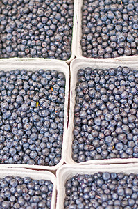 蓝莓烹饪紫色团体收成农场美食饮食蓝色生产小吃图片