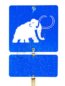 冰河时代路牌上有趣的长毛象标志灭绝运输树干蓝色脊椎动物哺乳动物路标化石风化指示牌背景