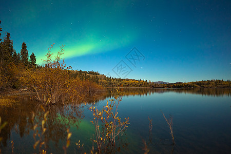 在平静的湖边 北极光和落色镜子月光北极星白马场地粒子磁层地区蓝色月亮图片