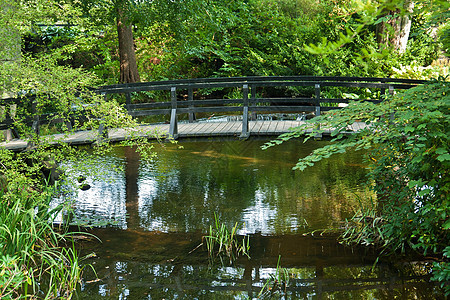 河上小型木桥花园闲暇人行道活动溪流树木太阳城市公园行人图片