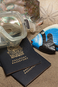 海滩度假概念护照目的地旅游太阳镜潜水假期旅行避暑胜地生物学太阳图片