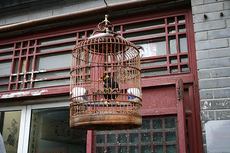 在洛阳老城的商店里天空传统历史旅行旅游鸟笼文化店铺运气鸣禽图片