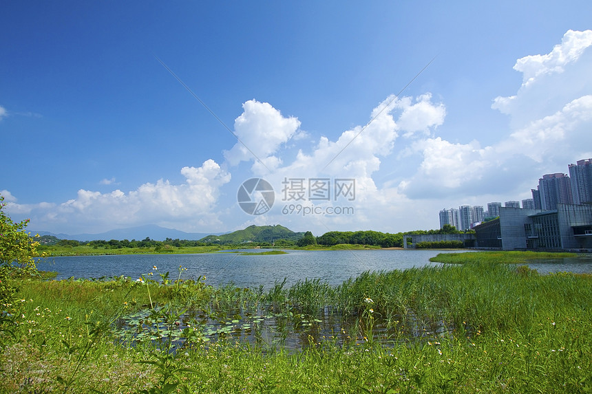 香港湿地公园天空场景地平线旅行池塘荒野蓝色树木草地沼泽图片