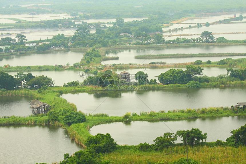 渔业池塘和湿地地区图片